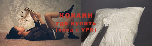 винт Карпинск