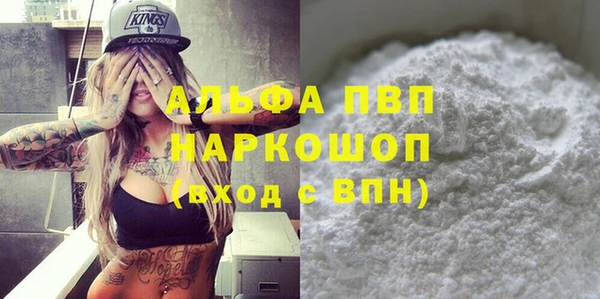 индика Кинешма