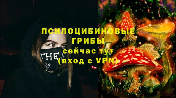 винт Карпинск