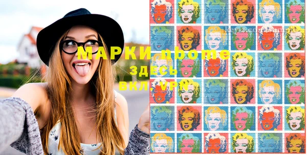 индика Кинешма