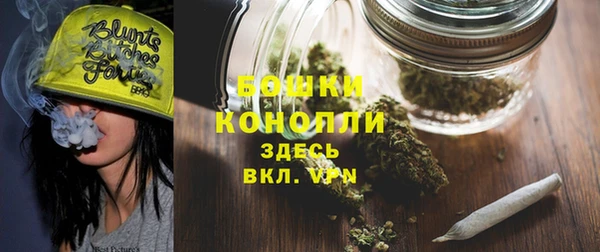 индика Кинешма