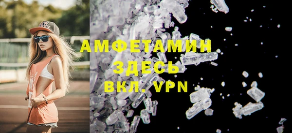индика Кинешма