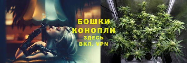 индика Кинешма